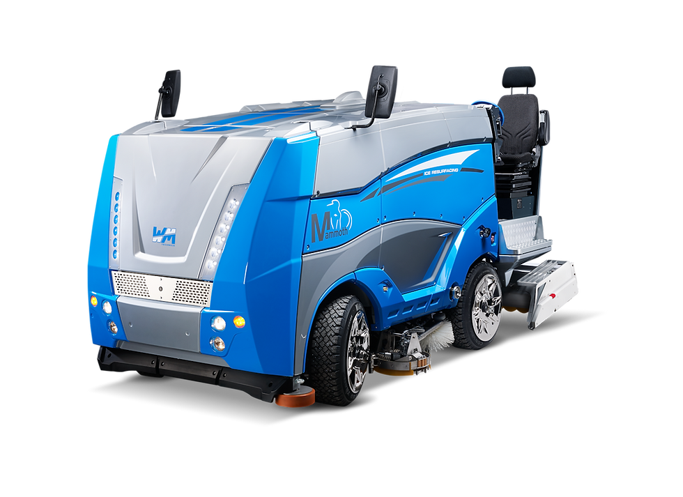 Pink Oyster Mushrooms