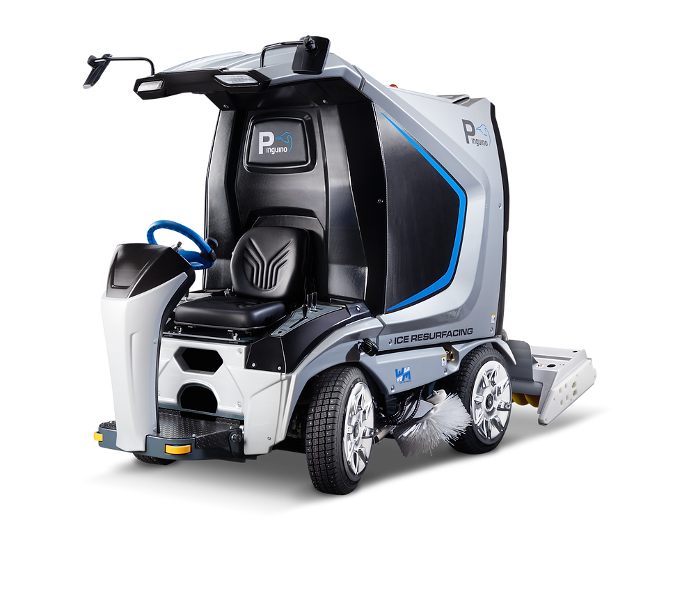 Pink Oyster Mushrooms