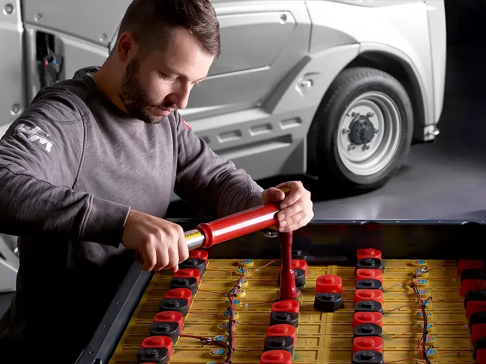 Mammoth Ritten 015 Kopie_edited.jpg