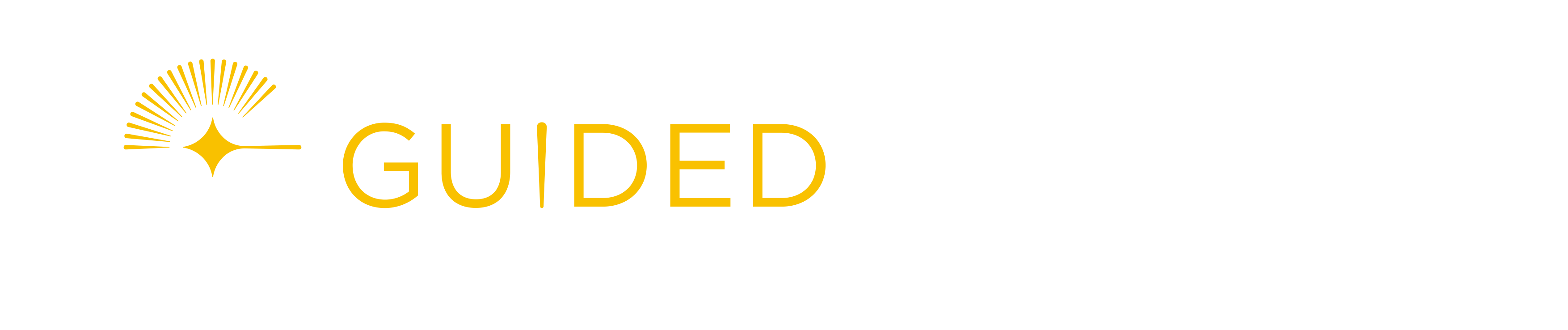 Graphic_v01_BlackTranspBG_PNG (1).png
