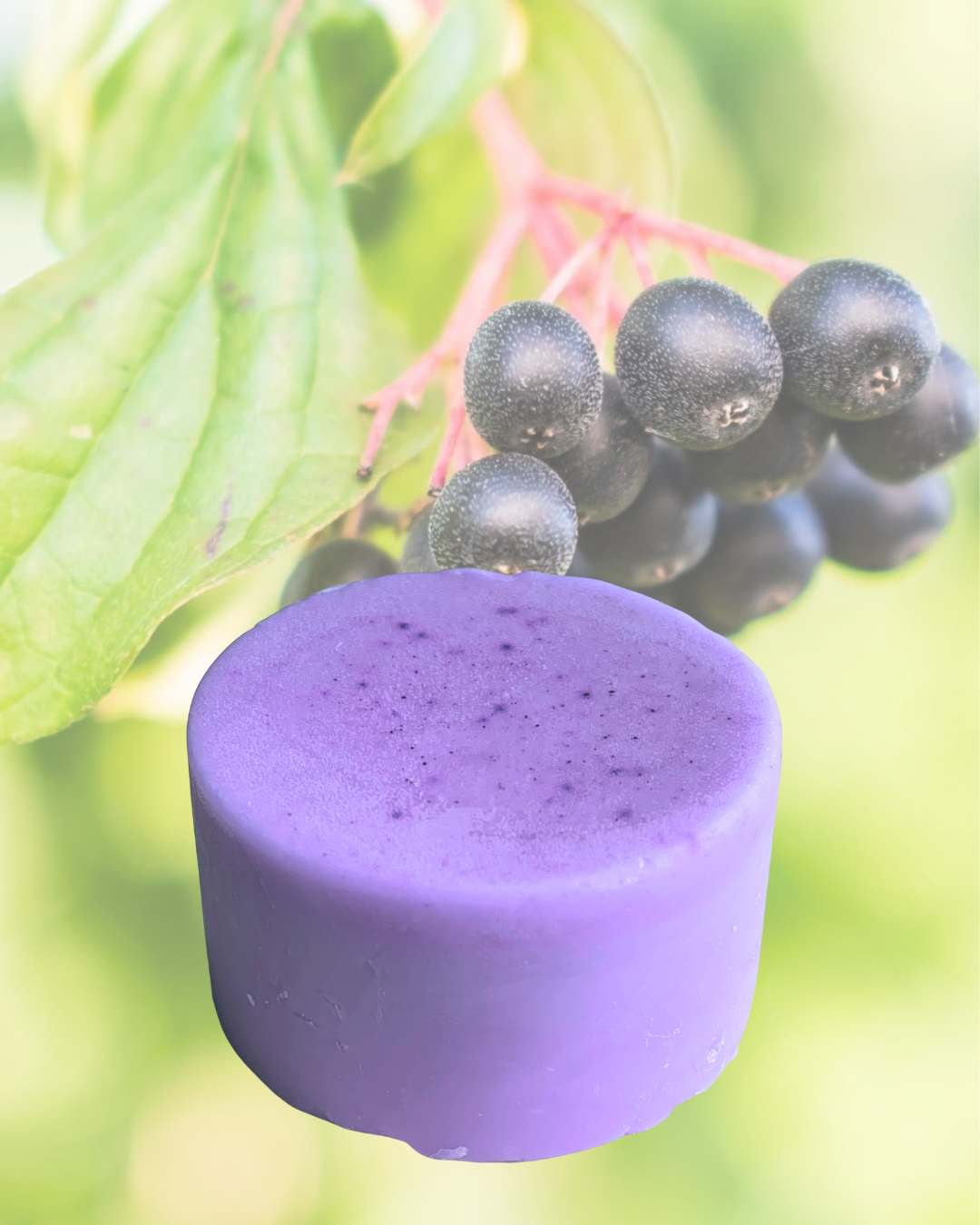 I'm Your Huckleberry Conditioner Bar