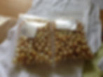 golden south sea pearls lot