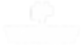 Vizion Foundation Logo White.jpg.png