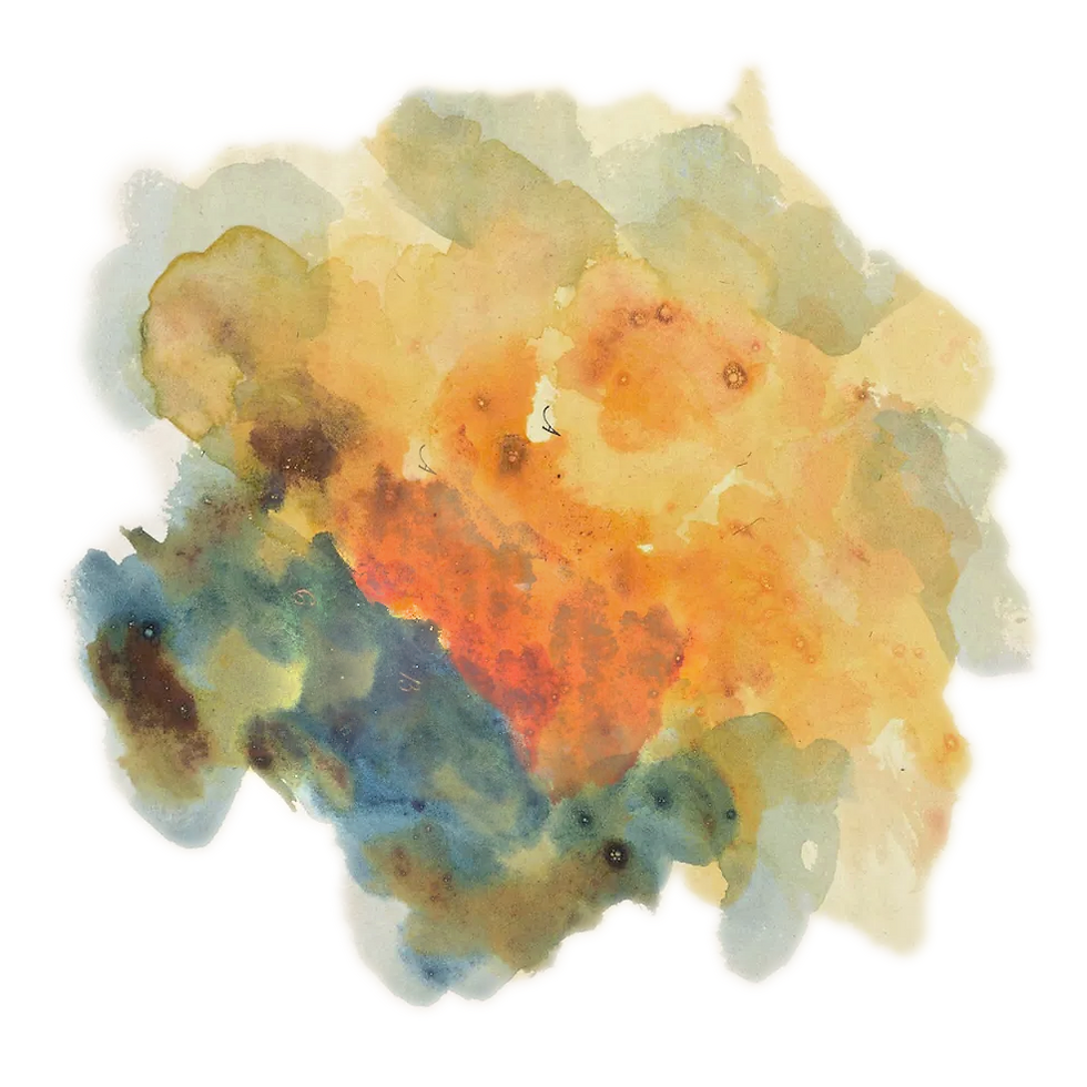 orangesq__edited.png