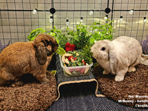 Połączeni, czy zaprzyjaźnieni? Porozmawiajmy...