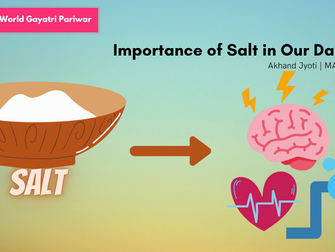 Importance of Salt in Our Daily Diet