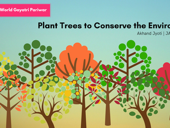 Plant Trees to Conserve the Environment