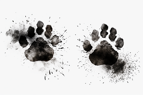 Grunge-dog-paws-Graphics-88813747-1.png