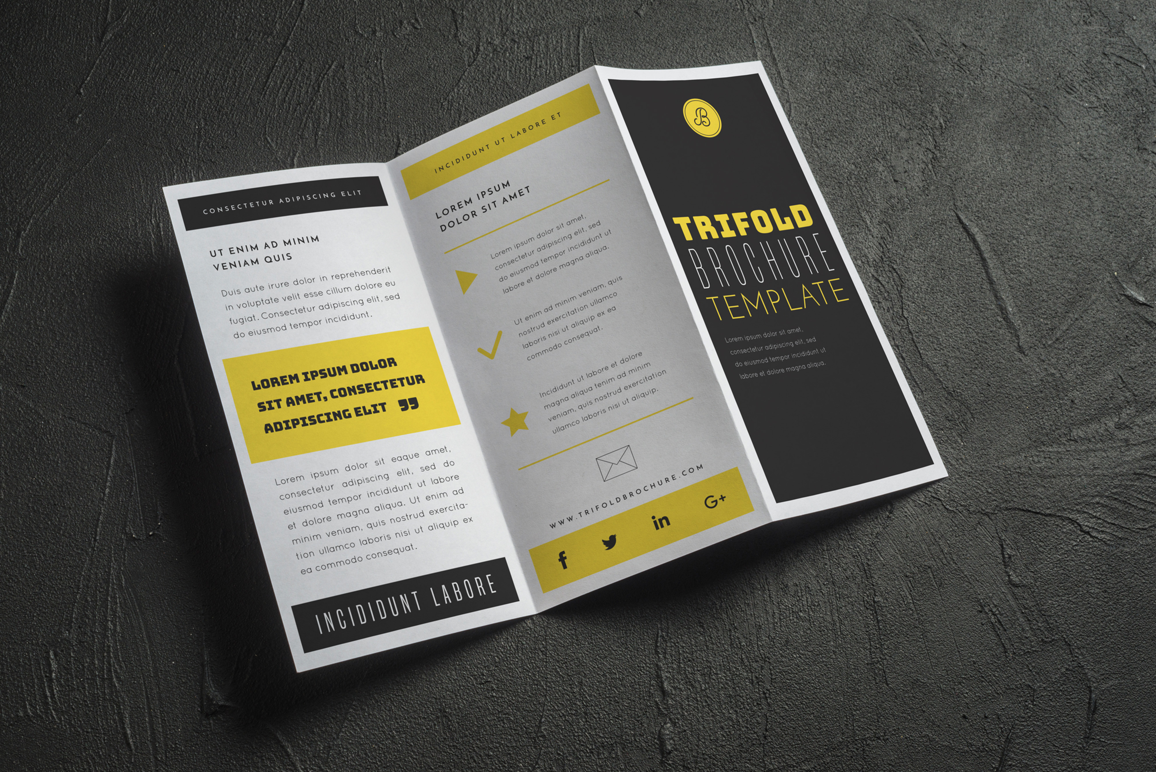 Trifold Brochure