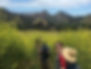 07B0B958-8ABE-40D5-AE20-8F23A957CD0C_Original_edited.jpg