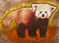 pandajustine02.jpg