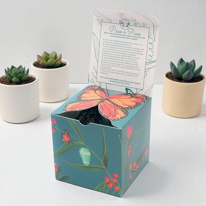 Miniatura: Mariposas Colombia