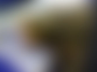 Sea Turtle Rescued From Waldport Beach