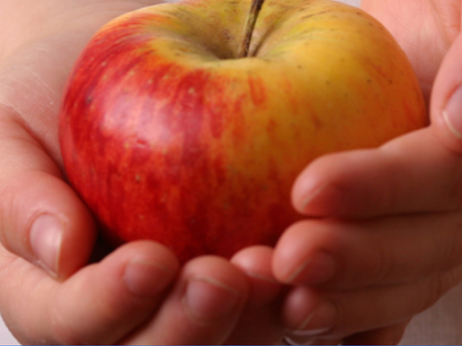 Families Have Until Sept 1 To Apply For Summer EBT Assistance
