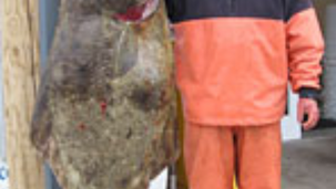 2027 Pacific Halibut Season Discussed