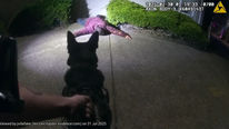 K-9 Nato Helps Apprehend Burglary Suspect