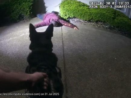 K-9 Nato Helps Apprehend Burglary Suspect
