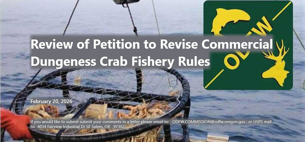 Toledo Supports Crabbing Industry