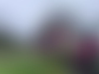 Two Displaced After Neotsu Home Fire