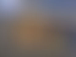 Recreational Razor Clamming Open From The Columbia River To The Siuslaw River