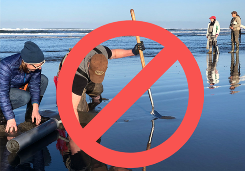 Razor Claming Closing On Clatsop Beaches