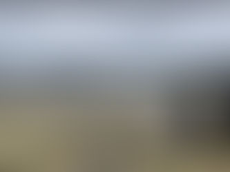 Lost Child Found Near The Aquarium