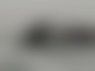 First Day Hikes And Whale Watching