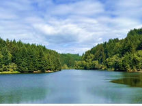 18-Year Old From Newport Drowns In Siletz River