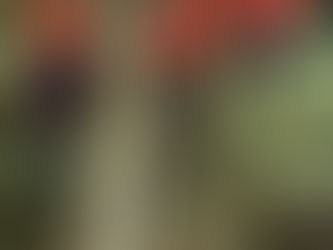 Search And Rescue Team Locates Injured Hunter