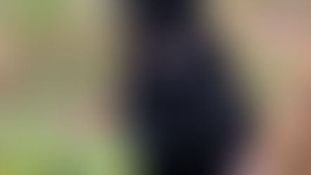 Man Who Killed Neighbors Dog Sentenced To 18-Months