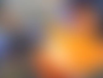 Donations Matched For New Wildlife Rehab Center