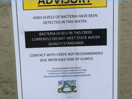 Nye Beach Health Advisory Issued