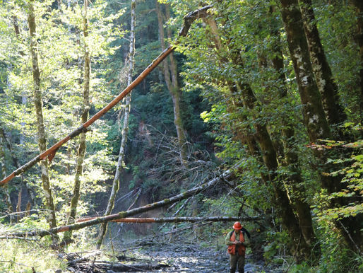 Community Group Challenges Overturn Of Banning Aerial Spraying