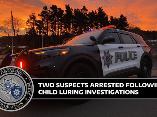 Two Arrested In Internet Child Luring Investigations