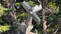 Plane Crashes Into A Tree In Waldport