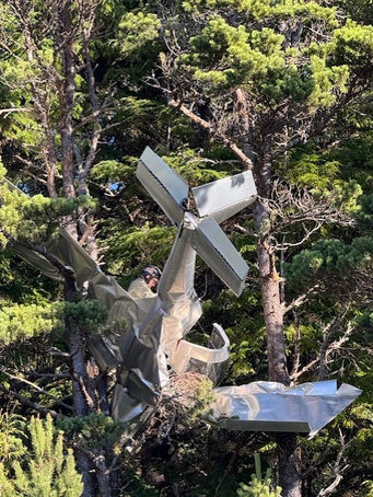 Plane Crashes Into A Tree In Waldport