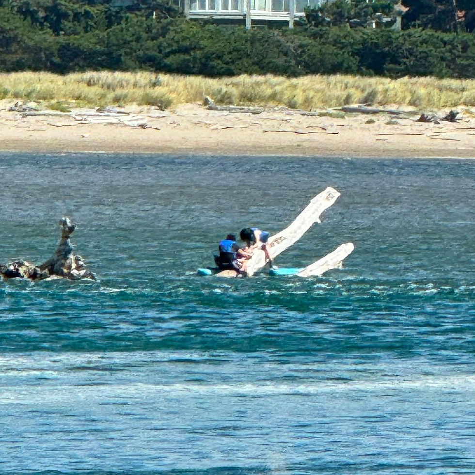 Family Rescued After Becoming Stranded In Siletz Bay