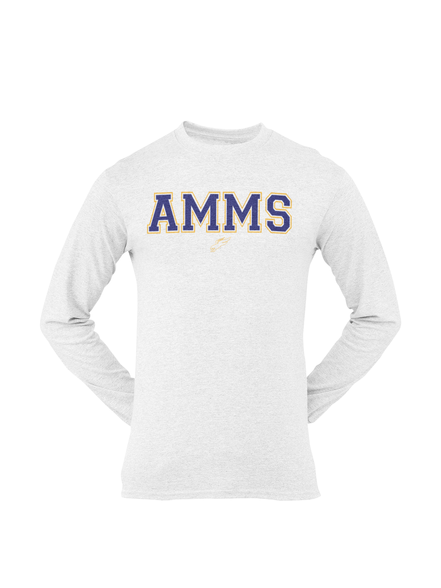 Boys Basketball AMMS Long Sleeve Team Dri Fit