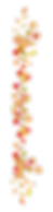 新津ポキパス_coming soon-03.png