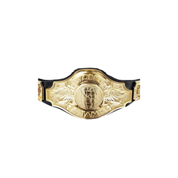 Championship Belt for Kids & Adult - Wrestling Boxing Belt Champion Costume Perfect for Parties Role