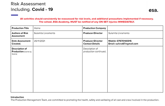 risk assessment 1.png