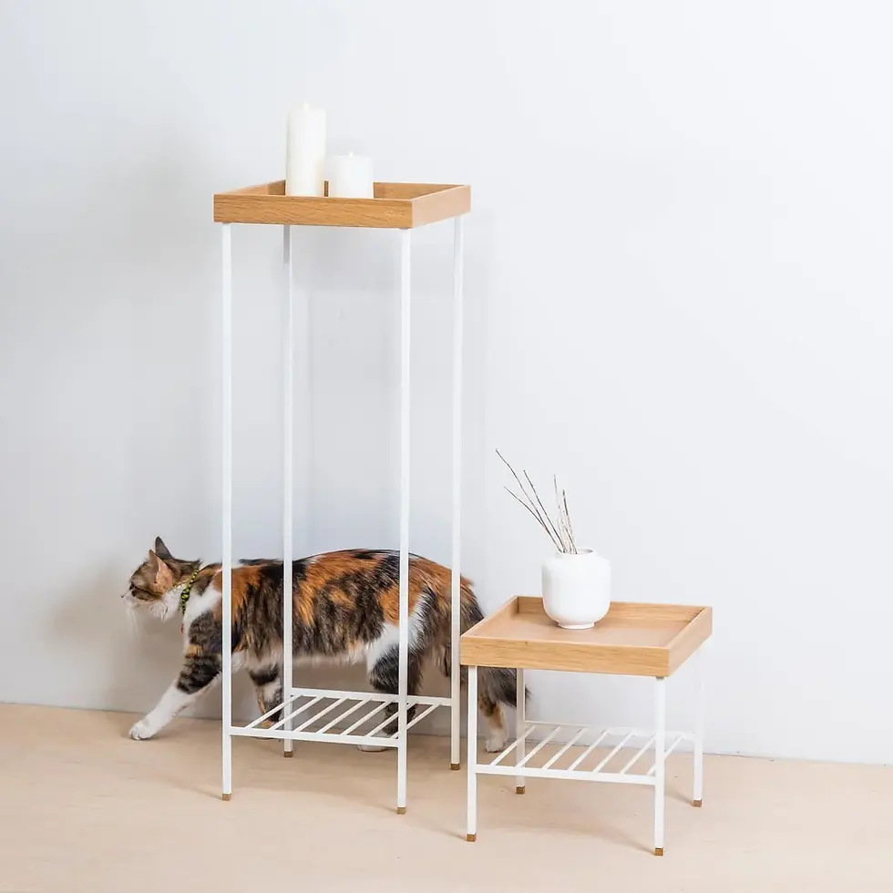 Thumbnail: EDGE Solid Oak Side Table / Flower Pott White Metall Legs