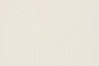 WEBstripe background-01.jpg