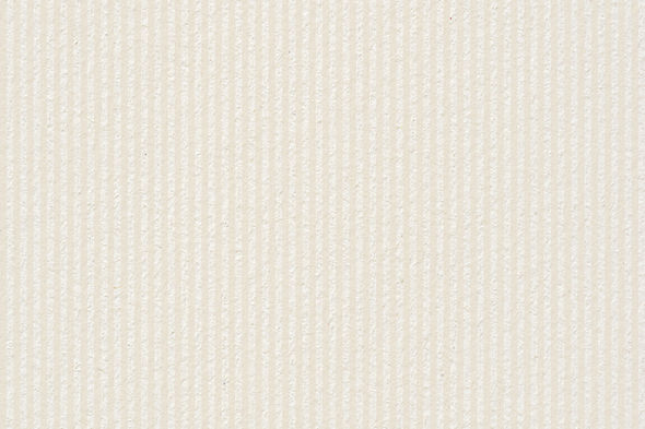 WEBstripe background-01.jpg