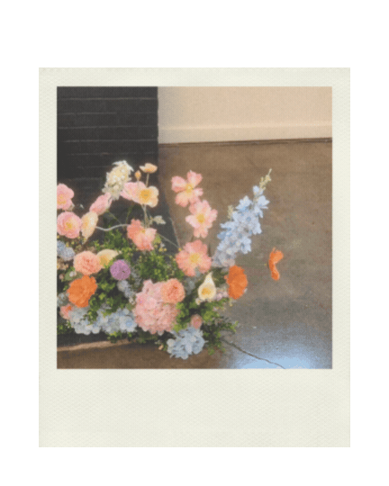 pOLARIOD 3 (2).gif