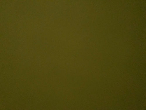 Green_edited.jpg