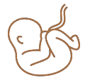 bb icon 4.gif