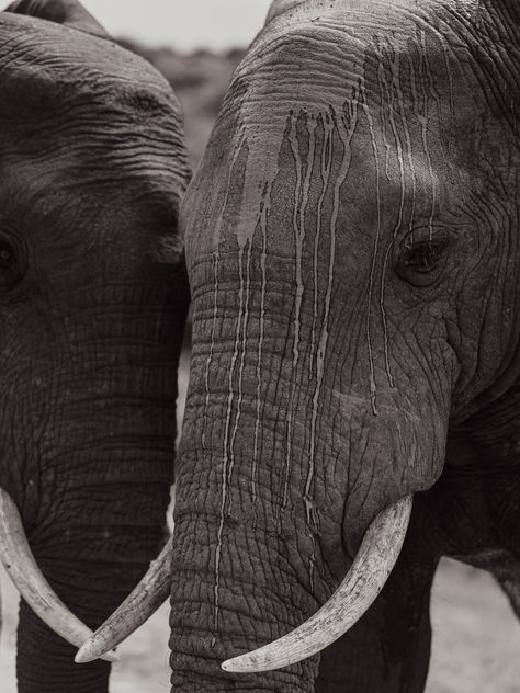 Best Restaurants and Hidden Gems in Cape Town 2025 – A Personal Guide