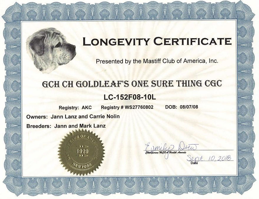 Goldleaf Mastiffs