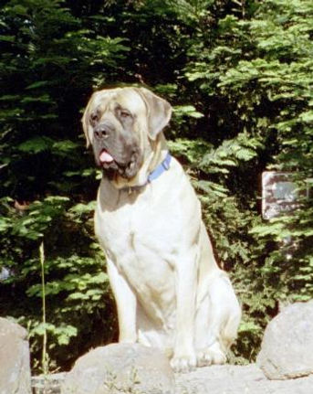 BenzSitting-341x431.jpg